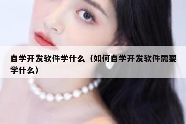 自学开发软件学什么(如何自学开发软件需要学什么) 第1张 自学开发软件学什么(如何自学开发软件需要学什么) 第1张