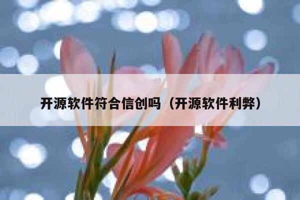 开源软件符合信创吗(开源软件利弊) 第1张 开源软件符合信创吗(开源软件利弊) 第1张