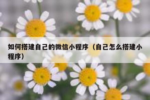 如何搭建自己的微信小程序(自己怎么搭建小程序) 第1张 如何搭建自己的微信小程序(自己怎么搭建小程序) 第1张