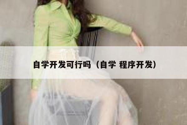 自学开发可行吗(自学 程序开发) 第1张 自学开发可行吗(自学 程序开发) 第1张