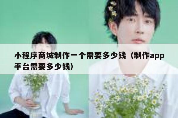 小程序商城制作一个需要多少钱(制作app平台需要多少钱) 第1张 小程序商城制作一个需要多少钱(制作app平台需要多少钱) 第1张