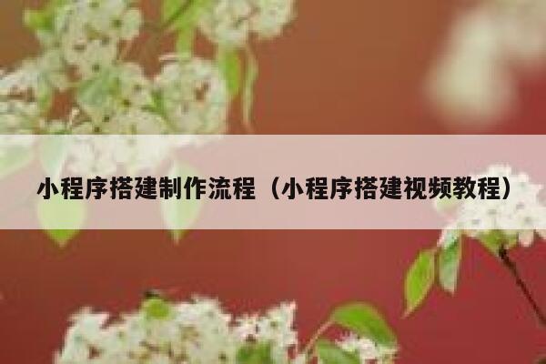 小程序搭建制作流程(小程序搭建视频教程) 第1张 小程序搭建制作流程(小程序搭建视频教程) 第1张