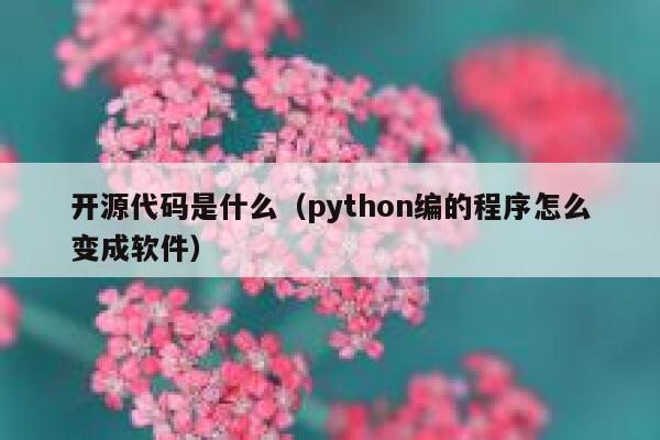 开源代码是什么(python编的程序怎么变成软件) 第1张 开源代码是什么(python编的程序怎么变成软件) 第1张