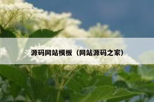 源码网站模板（网站源码之家） 第1张