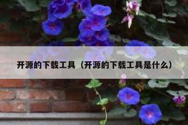 开源的下载工具（开源的下载工具是什么） 第1张