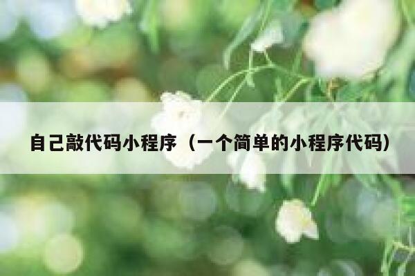 自己敲代码小程序(一个简单的小程序代码) 第1张 自己敲代码小程序(一个简单的小程序代码) 第1张