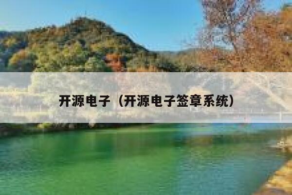 开源电子（开源电子签章系统） 第1张