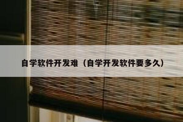 自学软件开发难（自学开发软件要多久） 第1张