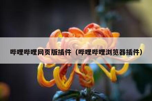 哔哩哔哩网页版插件（哔哩哔哩浏览器插件） 第1张