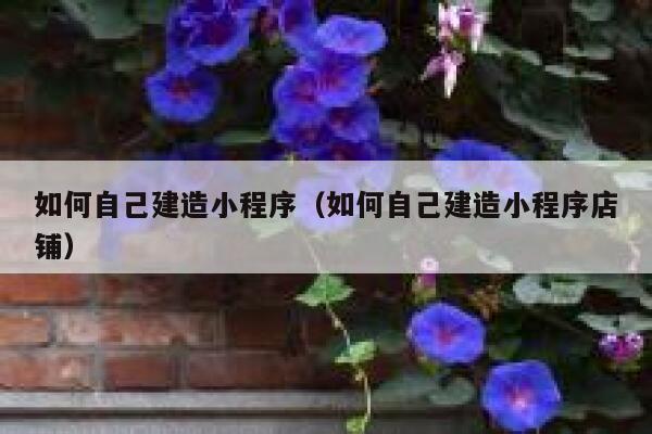 如何自己建造小程序(如何自己建造小程序店铺) 第1张 如何自己建造小程序(如何自己建造小程序店铺) 第1张