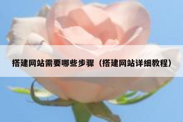 搭建网站需要哪些步骤(搭建网站详细教程) 第1张 搭建网站需要哪些步骤(搭建网站详细教程) 第1张
