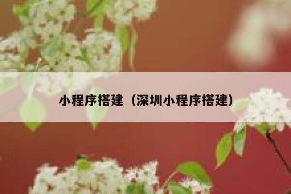 小程序搭建（深圳小程序搭建） 第1张
