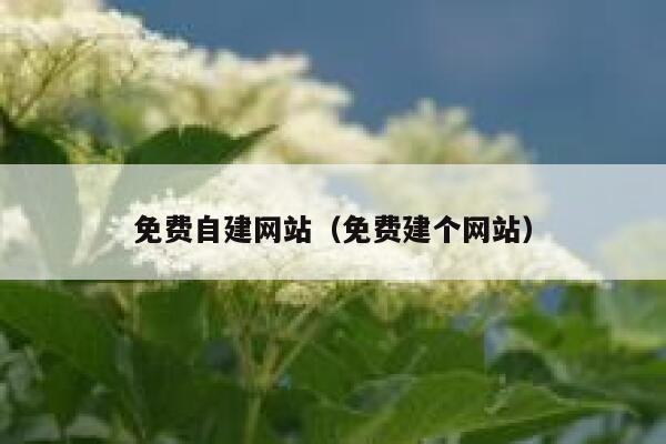 免费自建网站(免费建个网站) 第1张 免费自建网站(免费建个网站) 第1张