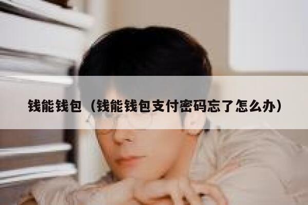 钱能钱包(钱能钱包支付密码忘了怎么办) 第1张 钱能钱包(钱能钱包支付密码忘了怎么办) 第1张
