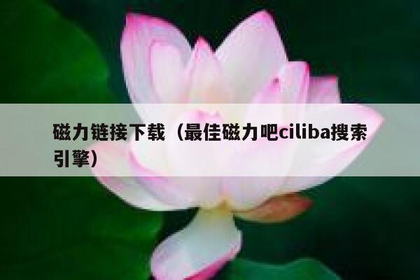 磁力链接下载(最佳磁力吧ciliba搜索引擎) 第1张 磁力链接下载(最佳磁力吧ciliba搜索引擎) 第1张