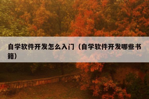 自学软件开发怎么入门(自学软件开发哪些书籍) 第1张 自学软件开发怎么入门(自学软件开发哪些书籍) 第1张