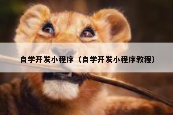 自学开发小程序(自学开发小程序教程) 第1张 自学开发小程序(自学开发小程序教程) 第1张