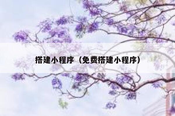 搭建小程序(免费搭建小程序) 第1张 搭建小程序(免费搭建小程序) 第1张