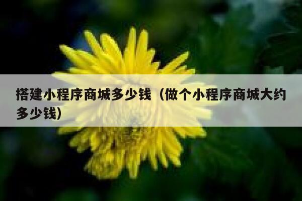 搭建小程序商城多少钱(做个小程序商城大约多少钱) 第1张 搭建小程序商城多少钱(做个小程序商城大约多少钱) 第1张