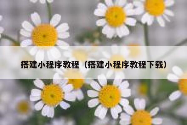 搭建小程序教程（搭建小程序教程下载） 第1张