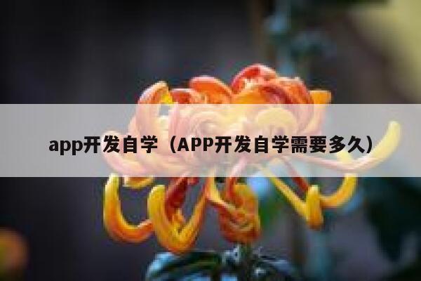 app开发自学(APP开发自学需要多久) 第1张 app开发自学(APP开发自学需要多久) 第1张