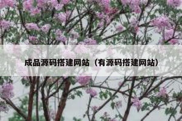 成品源码搭建网站（有源码搭建网站） 第1张