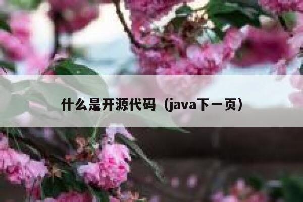 什么是开源代码(java下一页) 第1张 什么是开源代码(java下一页) 第1张
