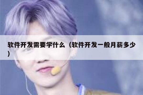 软件开发需要学什么(软件开发一般月薪多少) 第1张 软件开发需要学什么(软件开发一般月薪多少) 第1张
