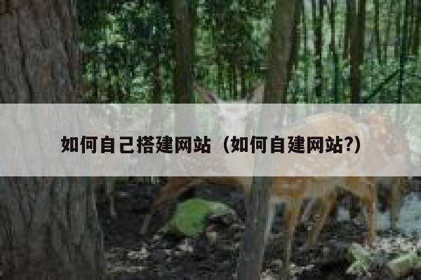 如何自己搭建网站(如何自建网站?) 第1张 如何自己搭建网站(如何自建网站?) 第1张