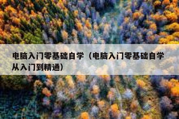 电脑入门零基础自学（电脑入门零基础自学 从入门到精通） 第1张