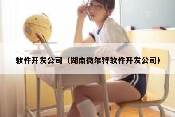 软件开发公司(湖南微尔特软件开发公司) 第1张 软件开发公司(湖南微尔特软件开发公司) 第1张