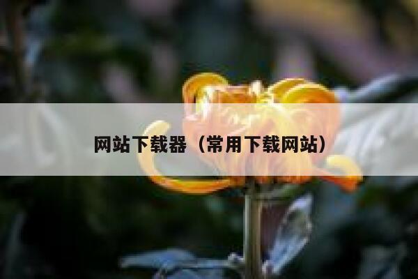 网站下载器(常用下载网站) 第1张 网站下载器(常用下载网站) 第1张