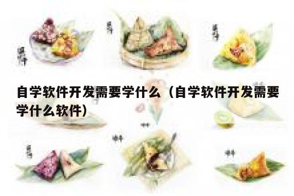自学软件开发需要学什么(自学软件开发需要学什么软件) 第1张 自学软件开发需要学什么(自学软件开发需要学什么软件) 第1张