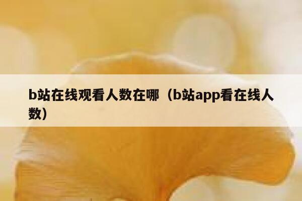 b站在线观看人数在哪(b站app看在线人数) 第1张 b站在线观看人数在哪(b站app看在线人数) 第1张