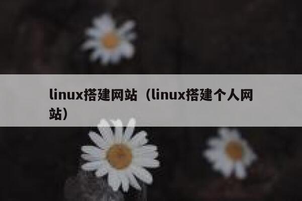 linux搭建网站(linux搭建个人网站) 第1张 linux搭建网站(linux搭建个人网站) 第1张