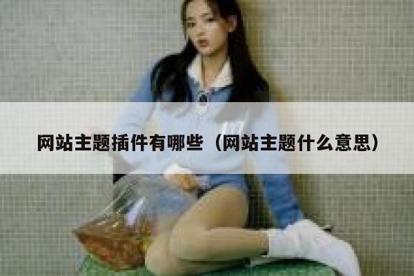 网站主题插件有哪些(网站主题什么意思) 第1张 网站主题插件有哪些(网站主题什么意思) 第1张