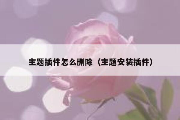 主题插件怎么删除(主题安装插件) 第1张 主题插件怎么删除(主题安装插件) 第1张