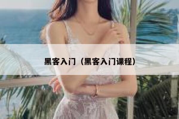 黑客入门(黑客入门课程) 第1张 黑客入门(黑客入门课程) 第1张