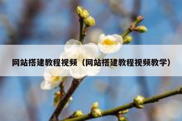 网站搭建教程视频(网站搭建教程视频教学) 第1张 网站搭建教程视频(网站搭建教程视频教学) 第1张