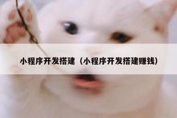 小程序开发搭建(小程序开发搭建赚钱) 第1张 小程序开发搭建(小程序开发搭建赚钱) 第1张
