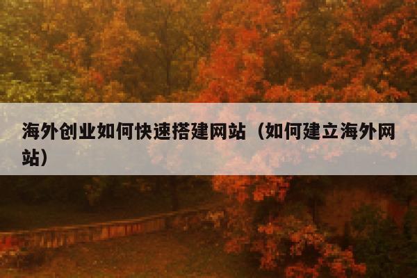 海外创业如何快速搭建网站(如何建立海外网站) 第1张 海外创业如何快速搭建网站(如何建立海外网站) 第1张