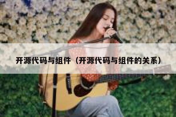 开源代码与组件(开源代码与组件的关系) 第1张 开源代码与组件(开源代码与组件的关系) 第1张