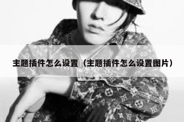 主题插件怎么设置(主题插件怎么设置图片) 第1张 主题插件怎么设置(主题插件怎么设置图片) 第1张