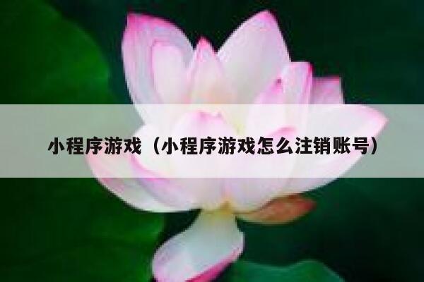 小程序游戏(小程序游戏怎么注销账号) 第1张 小程序游戏(小程序游戏怎么注销账号) 第1张