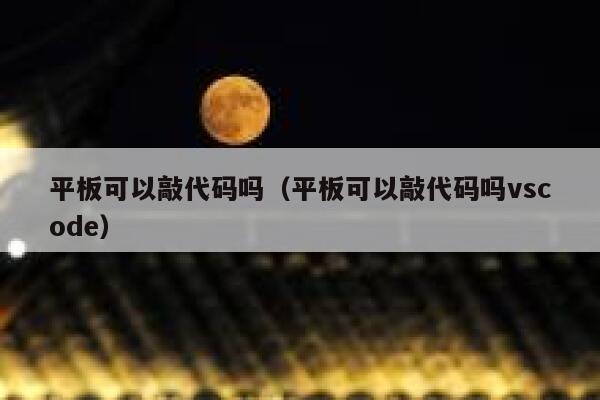 平板可以敲代码吗（平板可以敲代码吗vscode） 第1张