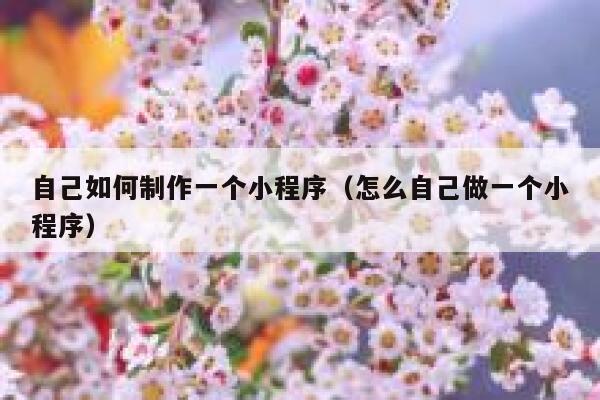 自己如何制作一个小程序(怎么自己做一个小程序) 第1张 自己如何制作一个小程序(怎么自己做一个小程序) 第1张