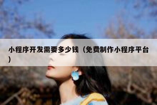 小程序开发需要多少钱（免费制作小程序平台） 第1张