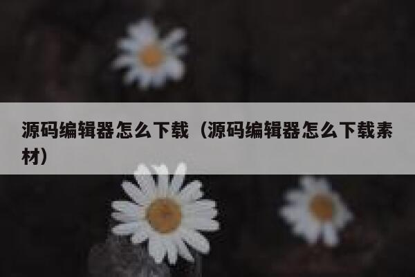 源码编辑器怎么下载(源码编辑器怎么下载素材) 第1张 源码编辑器怎么下载(源码编辑器怎么下载素材) 第1张