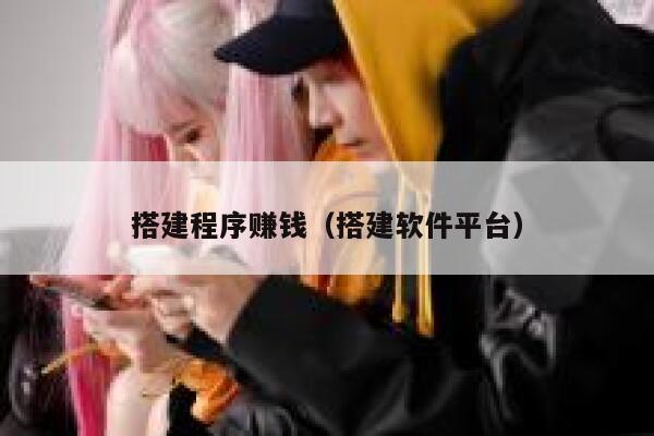 搭建程序赚钱(搭建软件平台) 第1张 搭建程序赚钱(搭建软件平台) 第1张