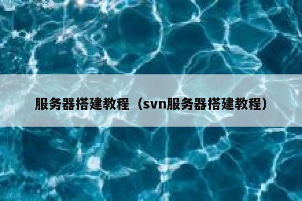 服务器搭建教程(svn服务器搭建教程) 第1张 服务器搭建教程(svn服务器搭建教程) 第1张